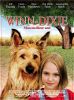 because_of_winn_dixie_ver3.jpg